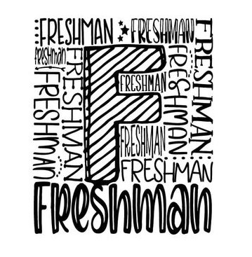 Freshman student guide